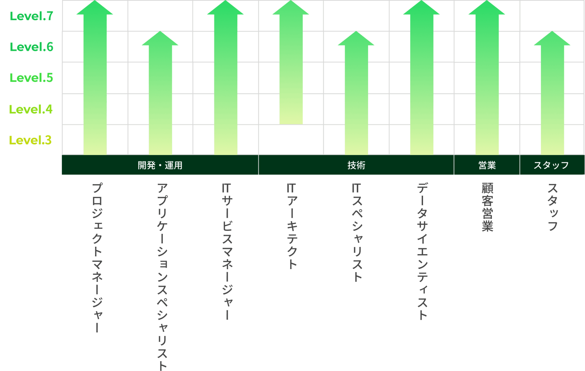 キャリアパスの全体像